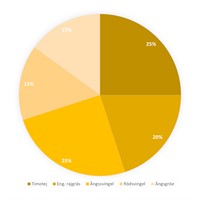 Optivall Skritt Bete
