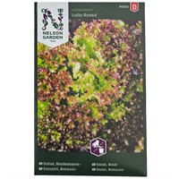 Sallat Bladbatavia "Lollo Rossa"